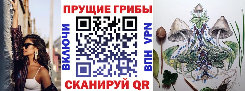 Псилоцибиновые грибы GOLDEN TEACHER  магазин  наркотиков  KRAKEN ссылка  Саки 