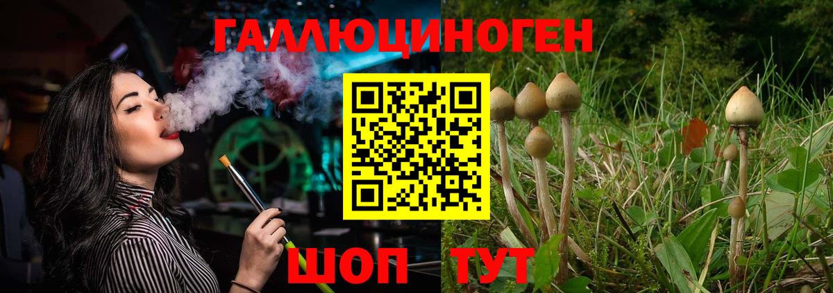 Галлюциногенные грибы ЛСД  Галлюциногенные грибы прущие грибы  Вход с VPN  Саки 